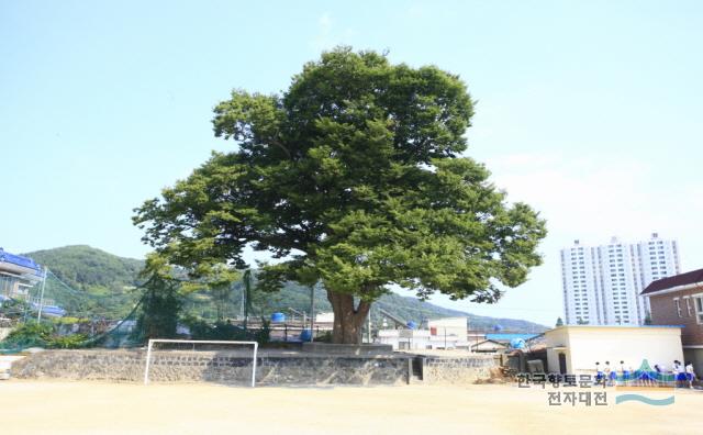 대표시청각 이미지