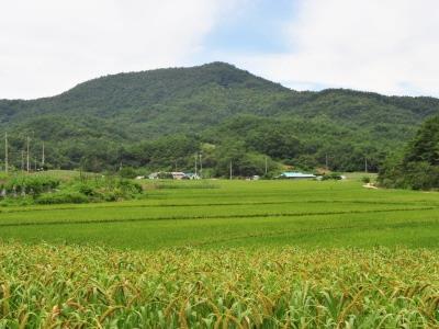 구진산 전경 썸네일 이미지