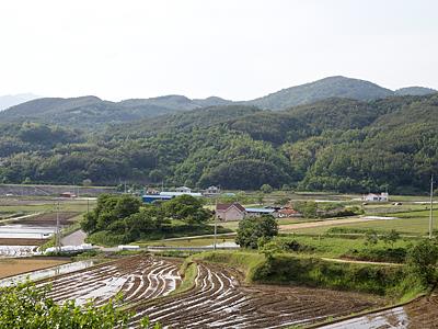 우복리 썸네일 이미지