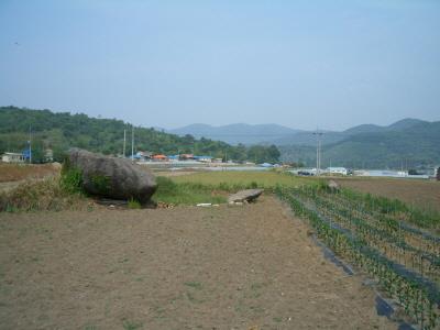 남산리 고인돌군 썸네일 이미지