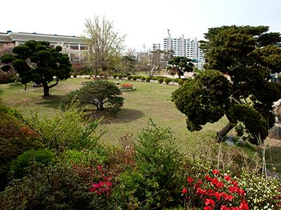 대산중학교 정원 썸네일 이미지