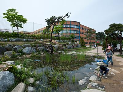서산대진초등학교 푸른교실 수생식물원 썸네일 이미지