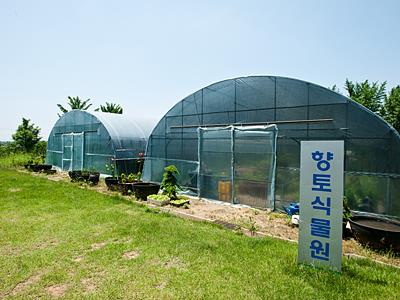 서산중앙고등학교 향토식물원 썸네일 이미지