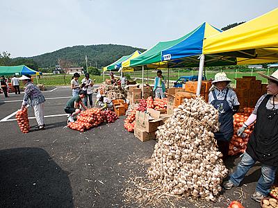 팔봉산 감자 축제 농산물 판매장 썸네일 이미지