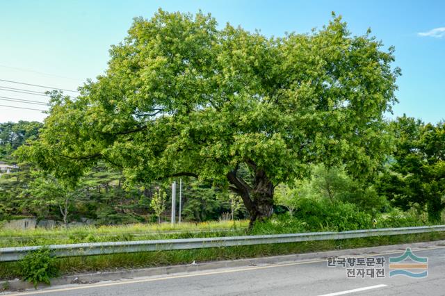 대표시청각 이미지