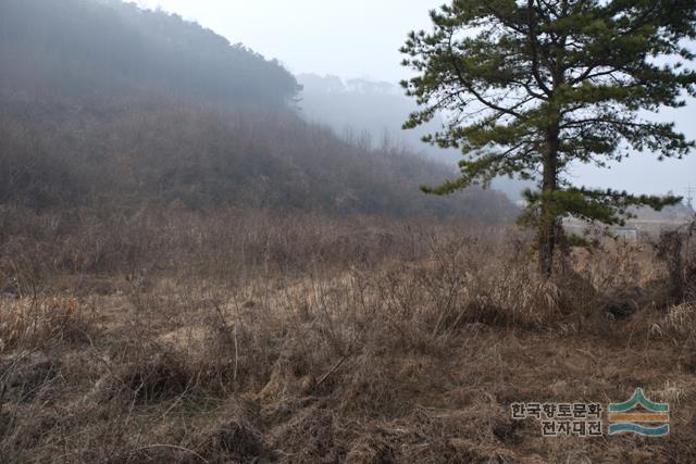 대표시청각 이미지