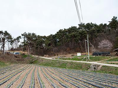 예덕리 유물 산포지 썸네일 이미지