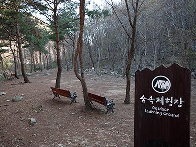 용현 자연휴양림 숲 속 체험장 썸네일 이미지