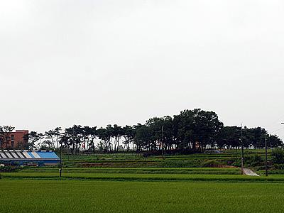 기지리 유적 공원 전경 썸네일 이미지