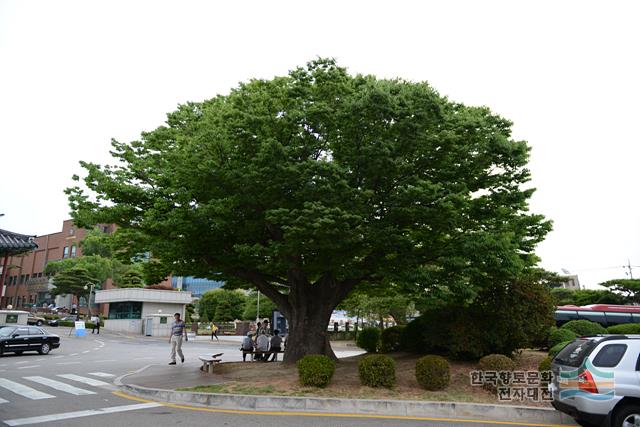 대표시청각 이미지