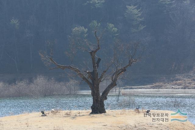 대표시청각 이미지