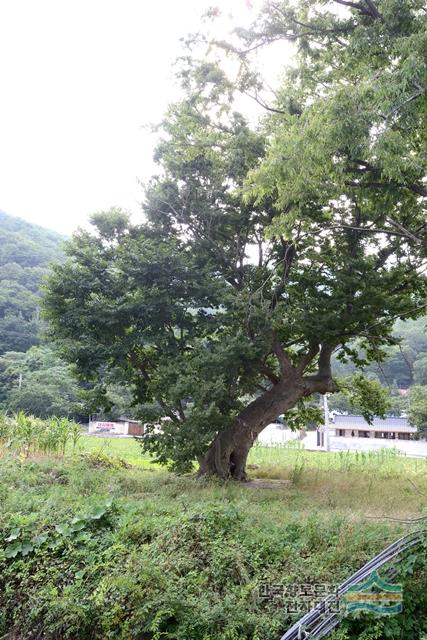 대표시청각 이미지