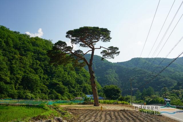 대표시청각 이미지