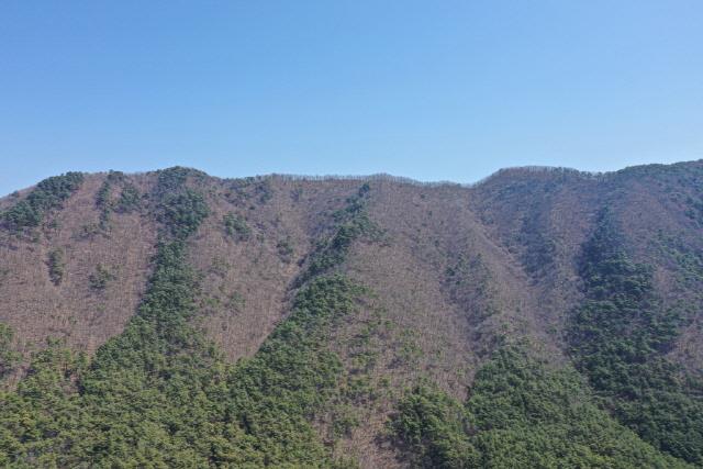 대표시청각 이미지